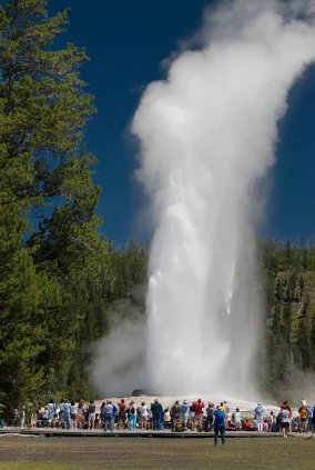 Old Faithful
