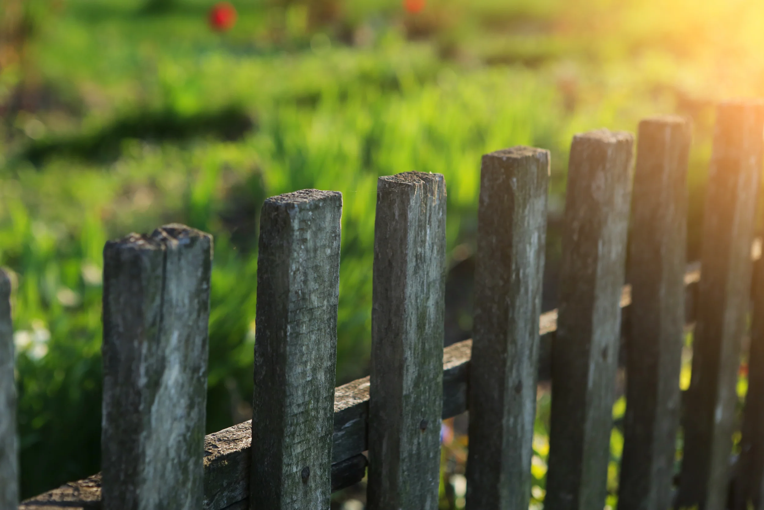 Maybe It's Time To Put Up A Fence