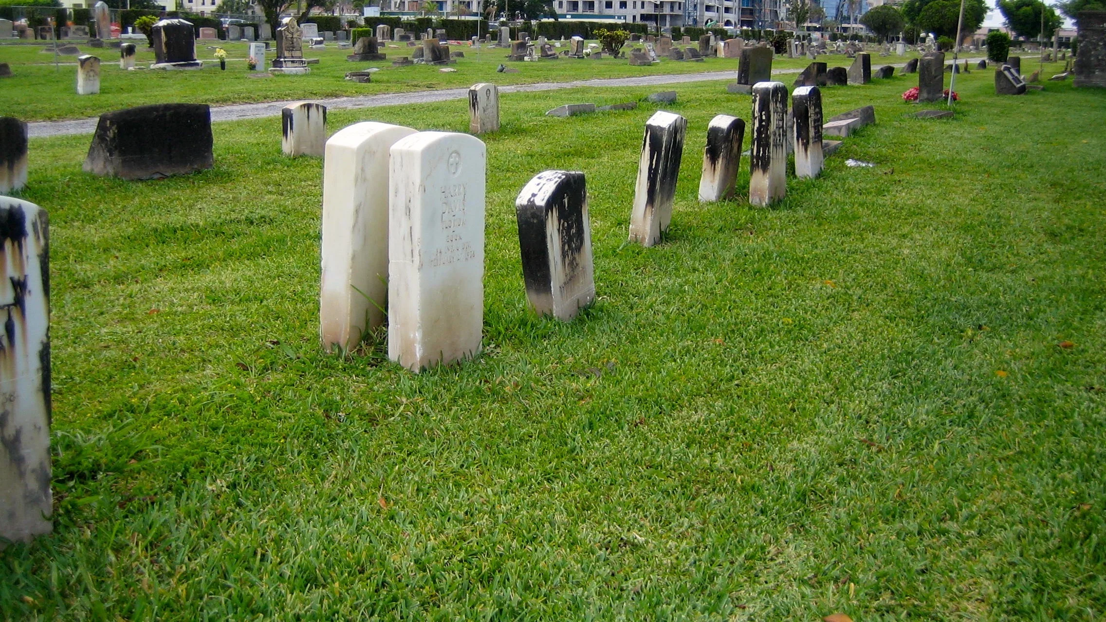 The Cutting Room Floor: The Resurrection of the Just