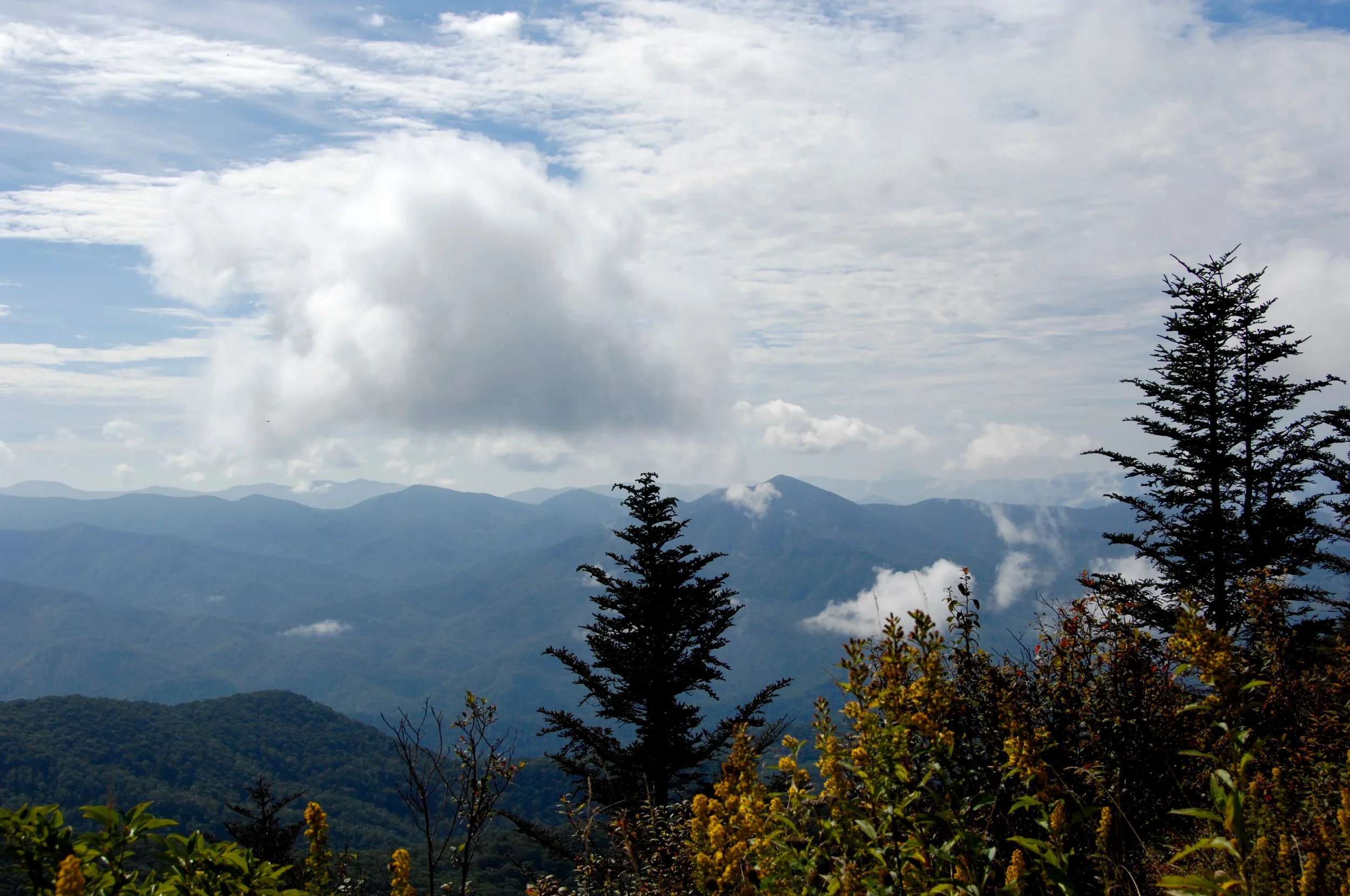 God's Answer To Rush And Worry