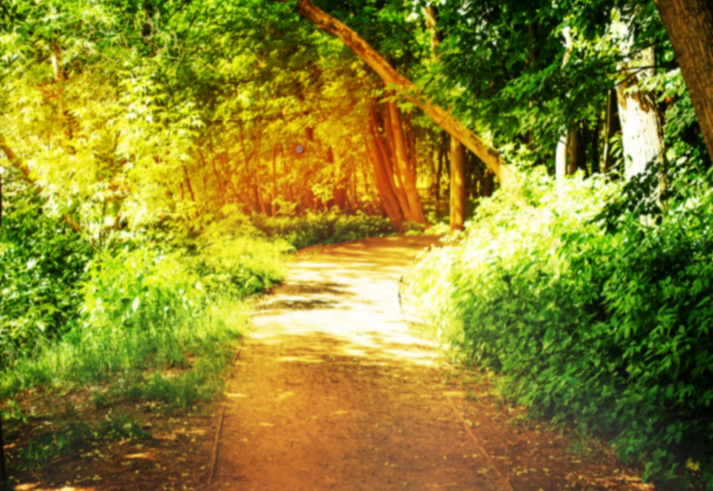 The Cutting Room Floor: The Cost Of Discipleship