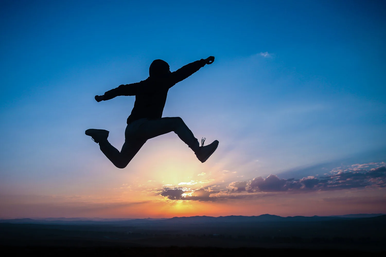 Leap Over A Wall — Don't Ask The Fish