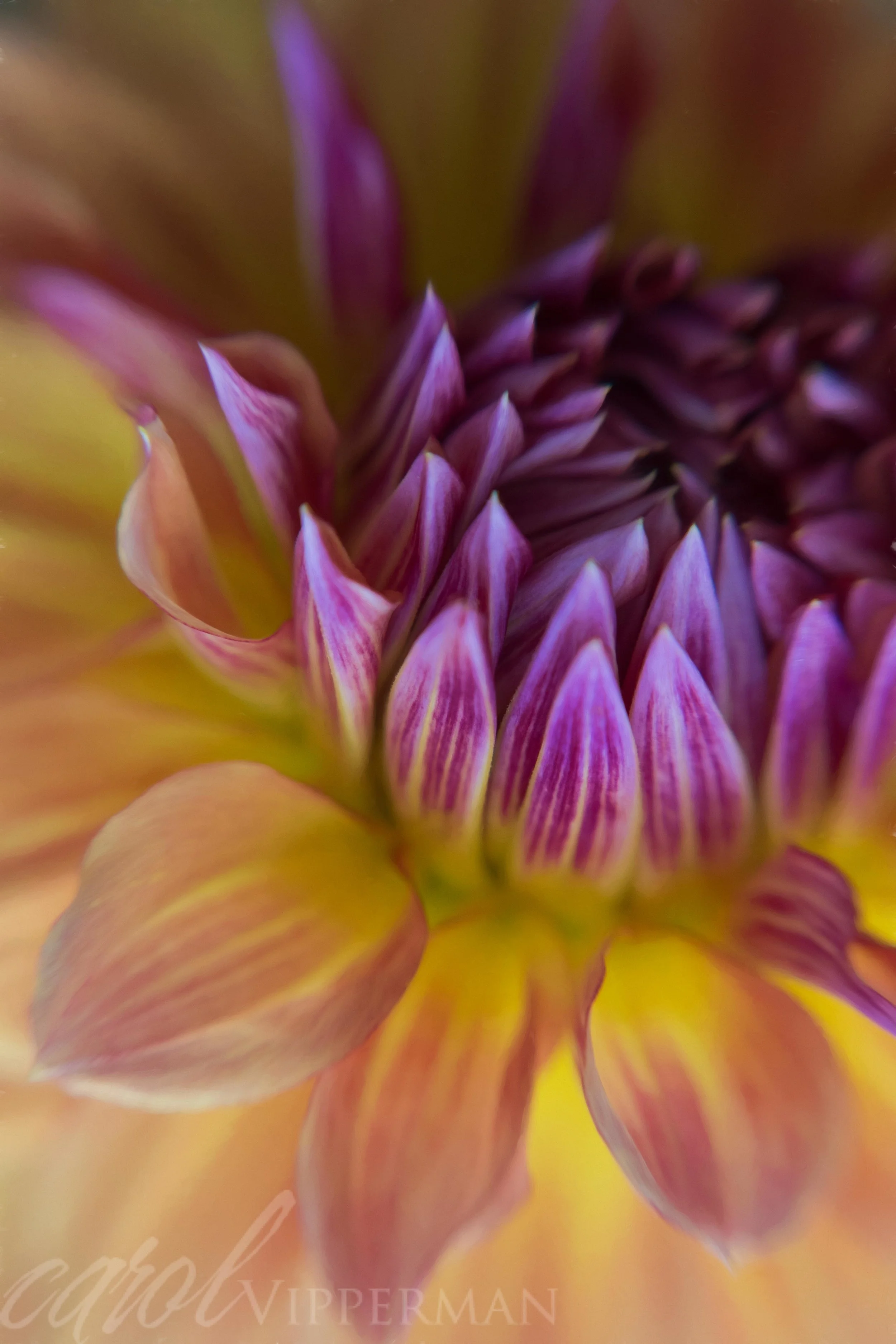 IMG_3255-Edit.jpg