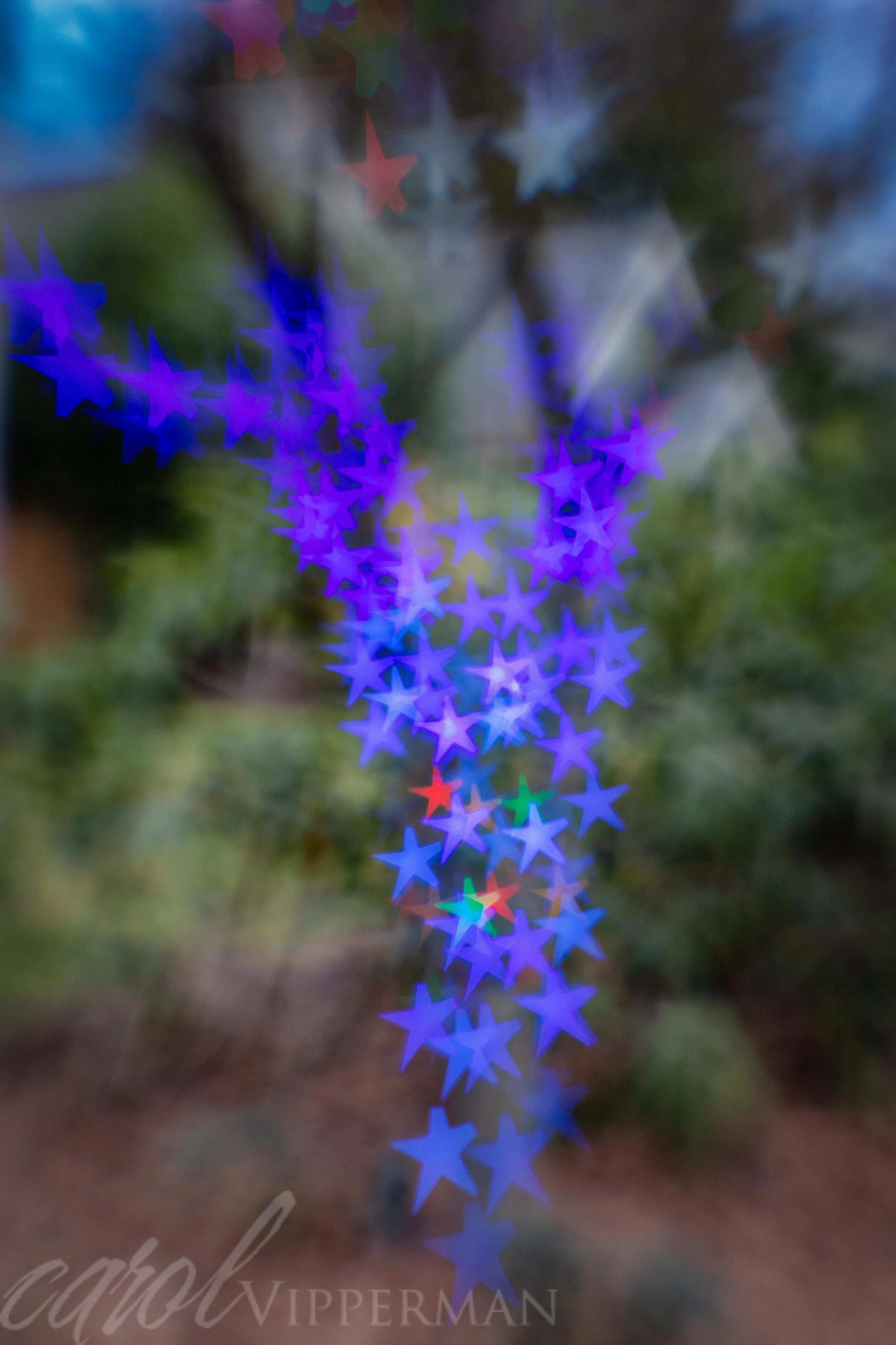 IMG_8272-Edit.jpg