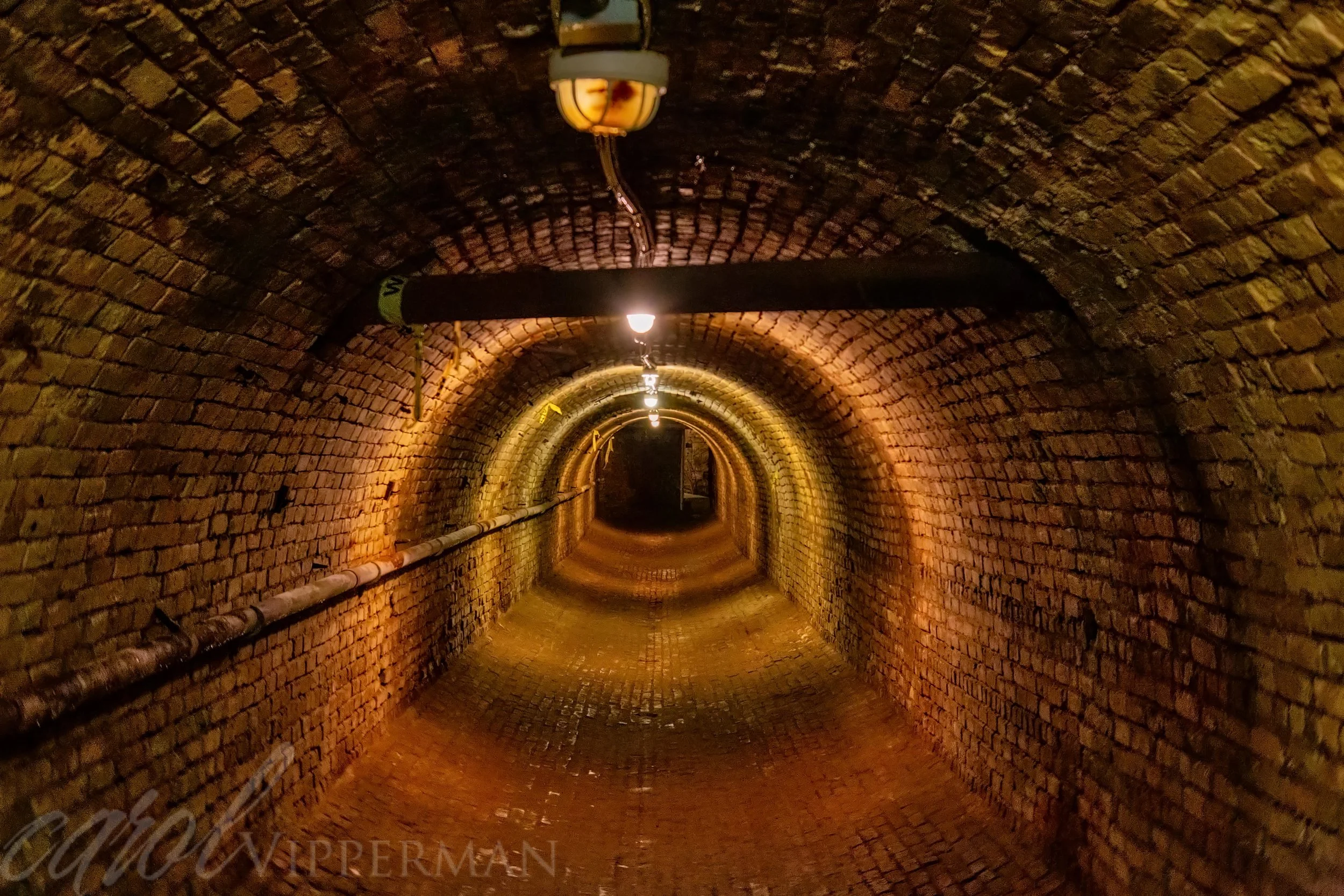 IMG_3679-Edit-Edit.jpg