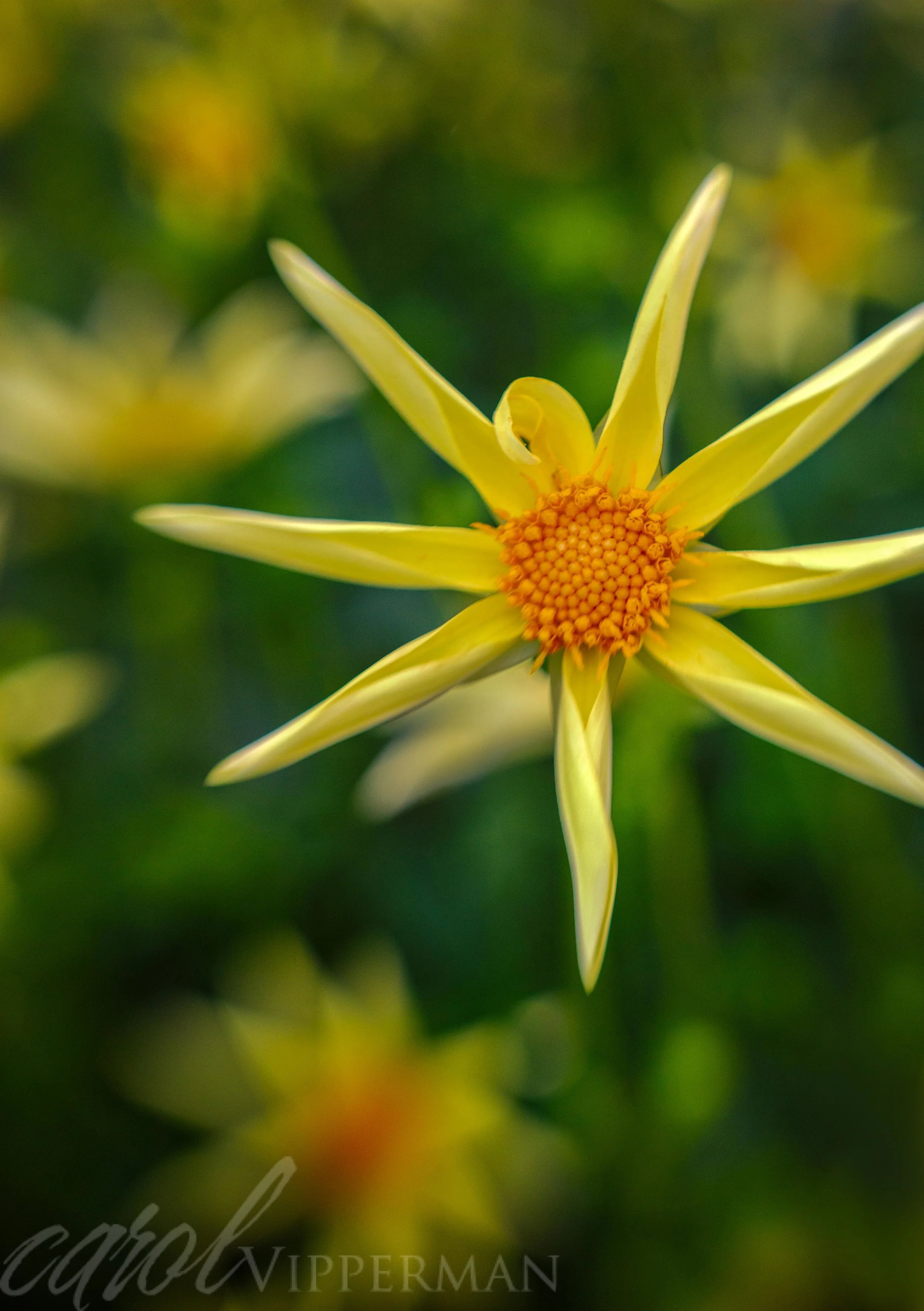 IMG_5557-Edit.jpg