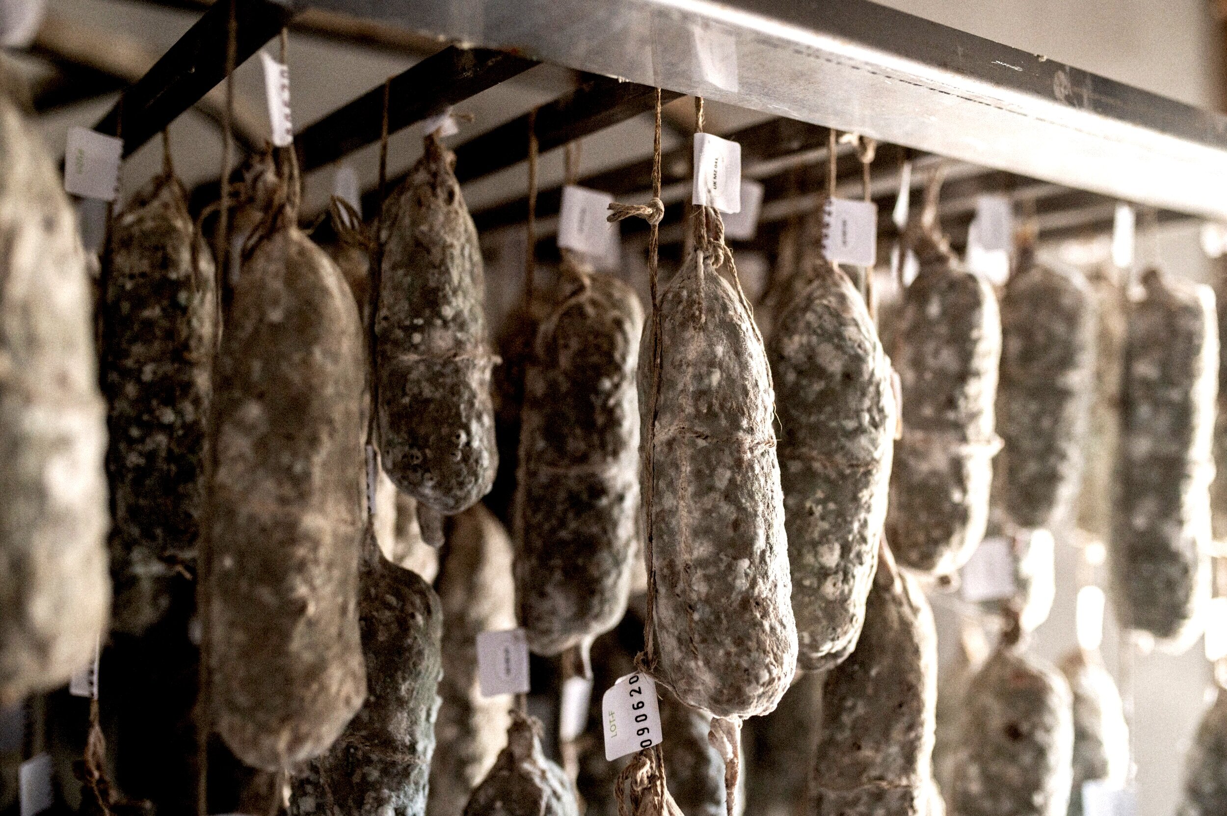   salami and cured meat cultures    ﹀  