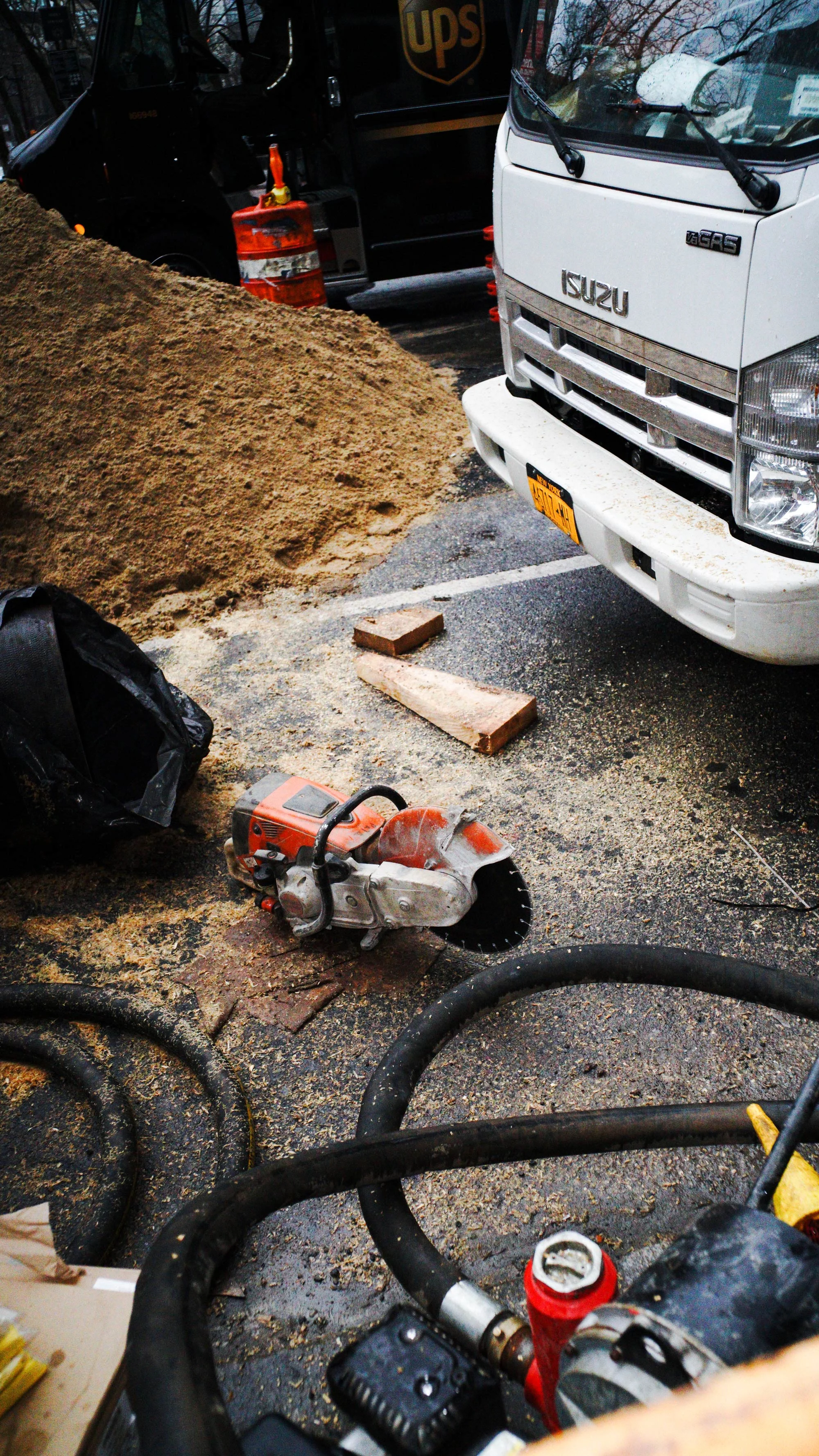 SawAmongstSawDust_2016.jpg