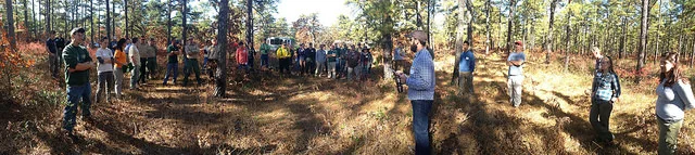 John Parke of NJ Audubon and Brian Kieffer of Pine Creek Forestry discussing partnership with Tall Timbers and University of DE for restoring bobwhite quail to New Jersey. Photo by Inga La Puma