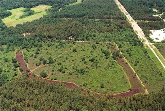 aerialmontague.jpg