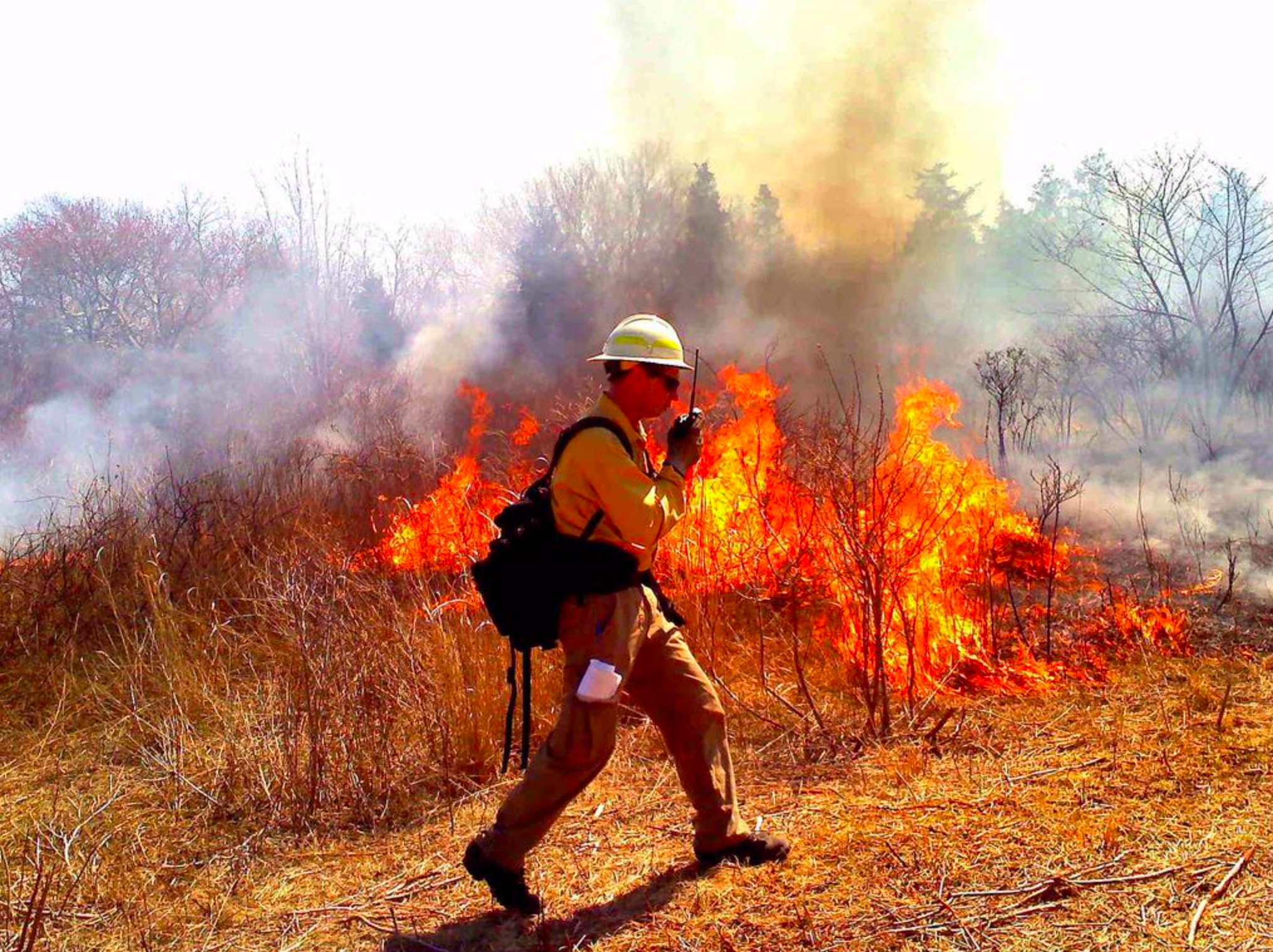 Dave Walker, Fire Managament Officer, monitors the burn. Taken on March 31, 2012 at Ninigret NWR. Photo Credit: Juancarlos Giese, USFWS