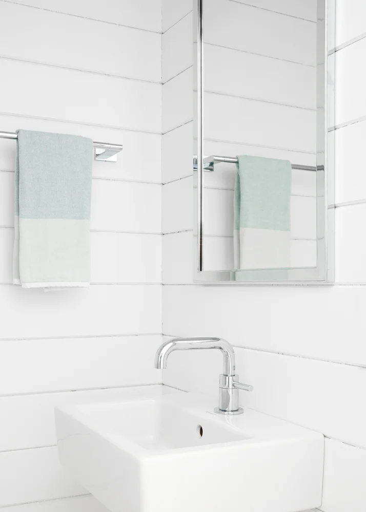 Stephanie Michaan Powder Room.jpg