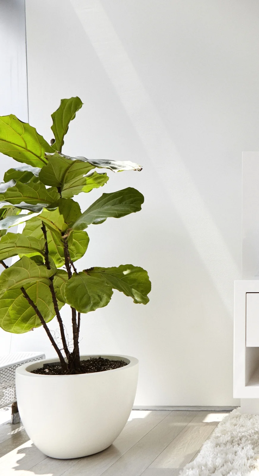 WEST VILLAGE-(the interior)-072.JPG