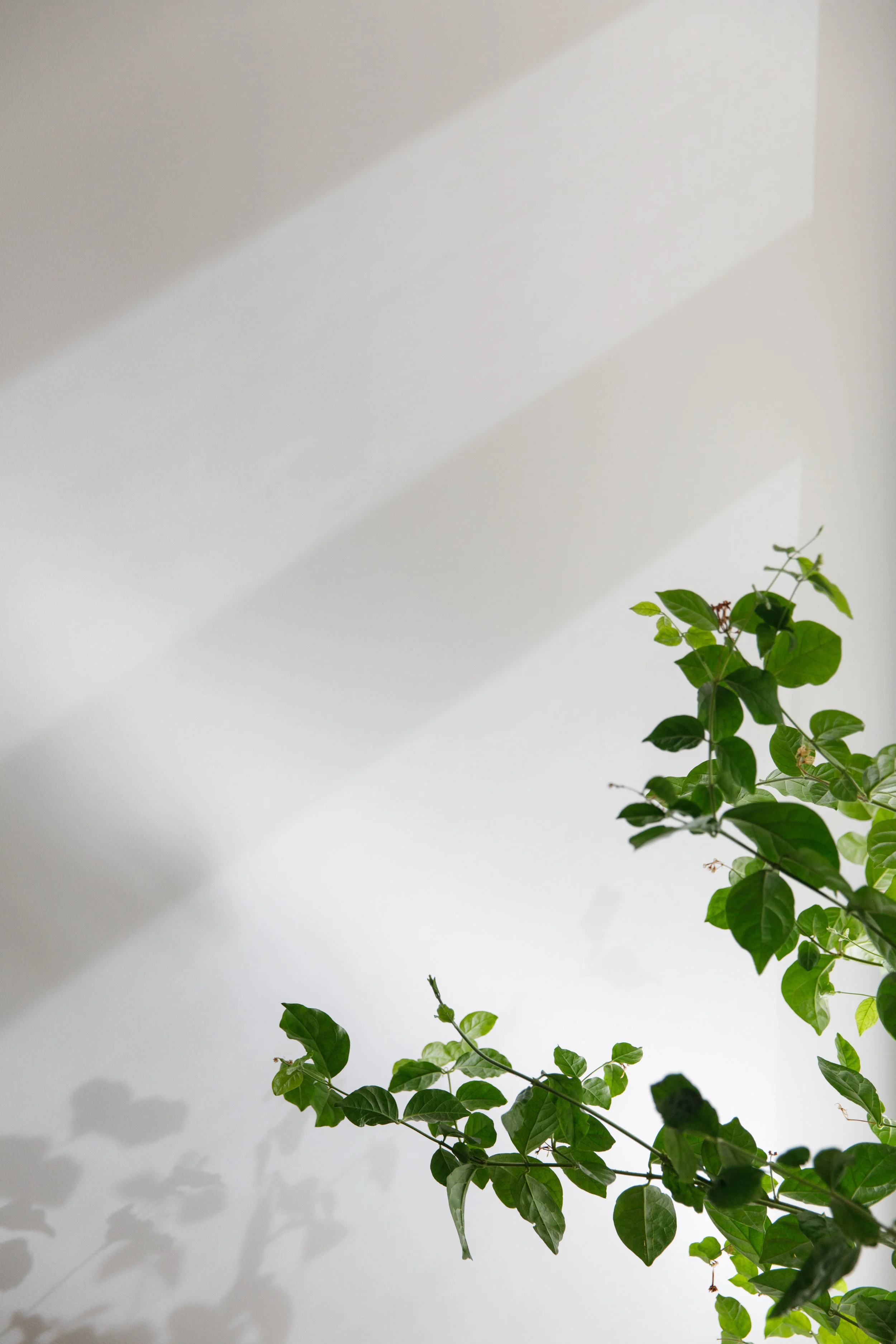 Nursery-12.JPG