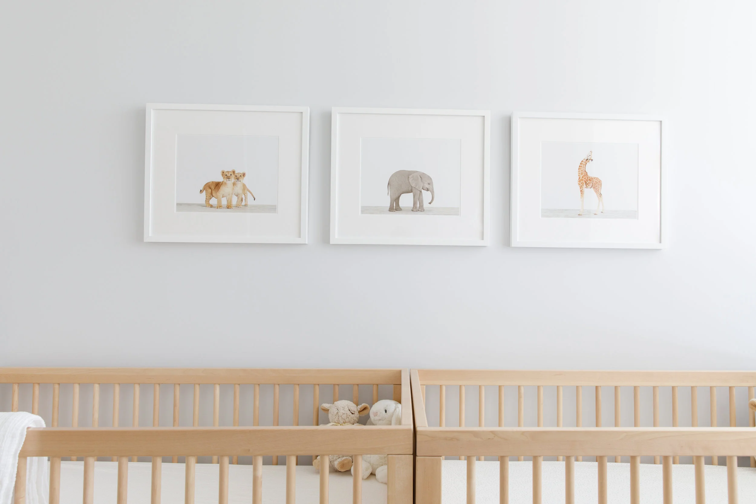 Nursery-258.JPG