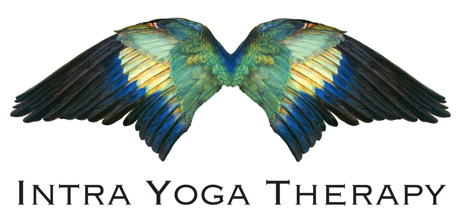 Intra Yoga Therapy: yoga classes, workshops & private yoga therapy in Boston, MA