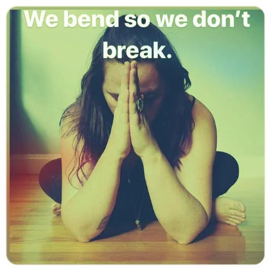 Bend so we don't break Alex Bauermeister Yoga Therapy.jpg
