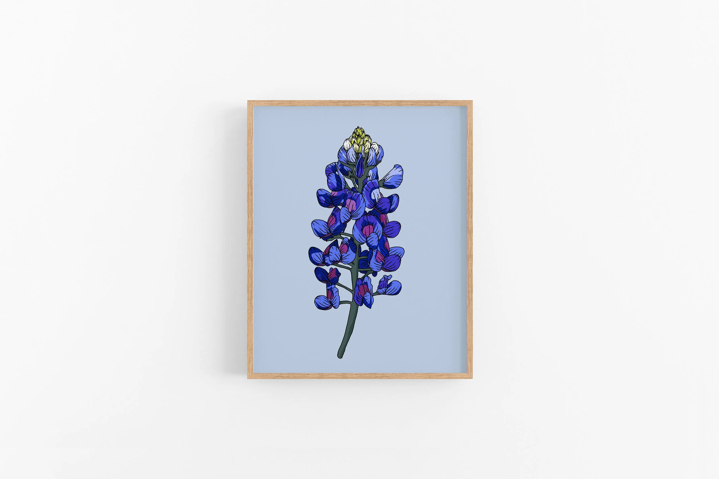 TexasBlueBonnet.jpg