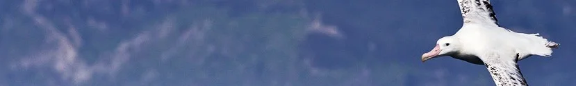 Lander-PB.jpg