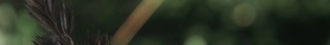 Death Minus Hours-Banner.jpg