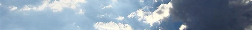 Surprise-Banner.jpg