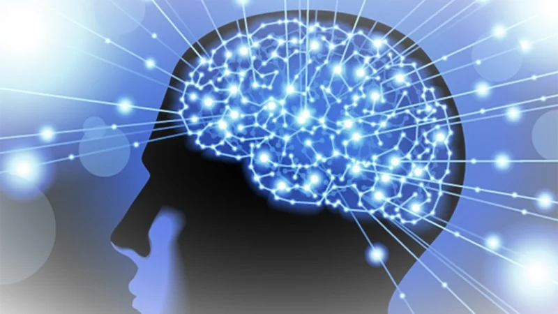 Associative Memory.jpg