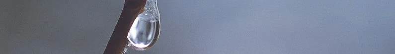 Spring-Banner.jpg