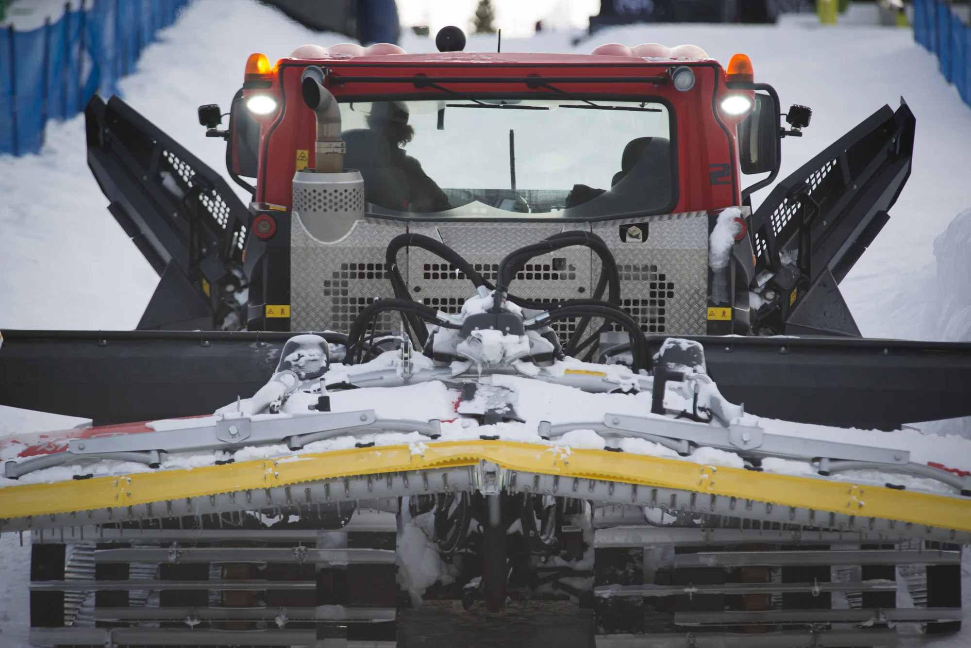 spt cat-photo sam aiken001-4.jpg