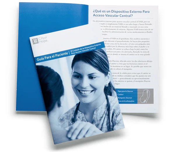 brochure4.jpg