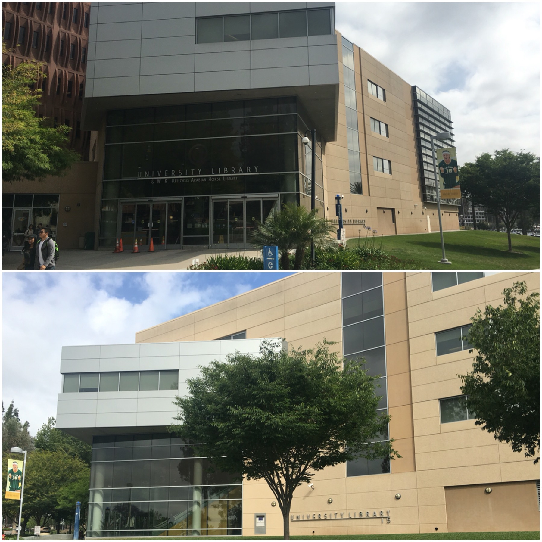 University Library