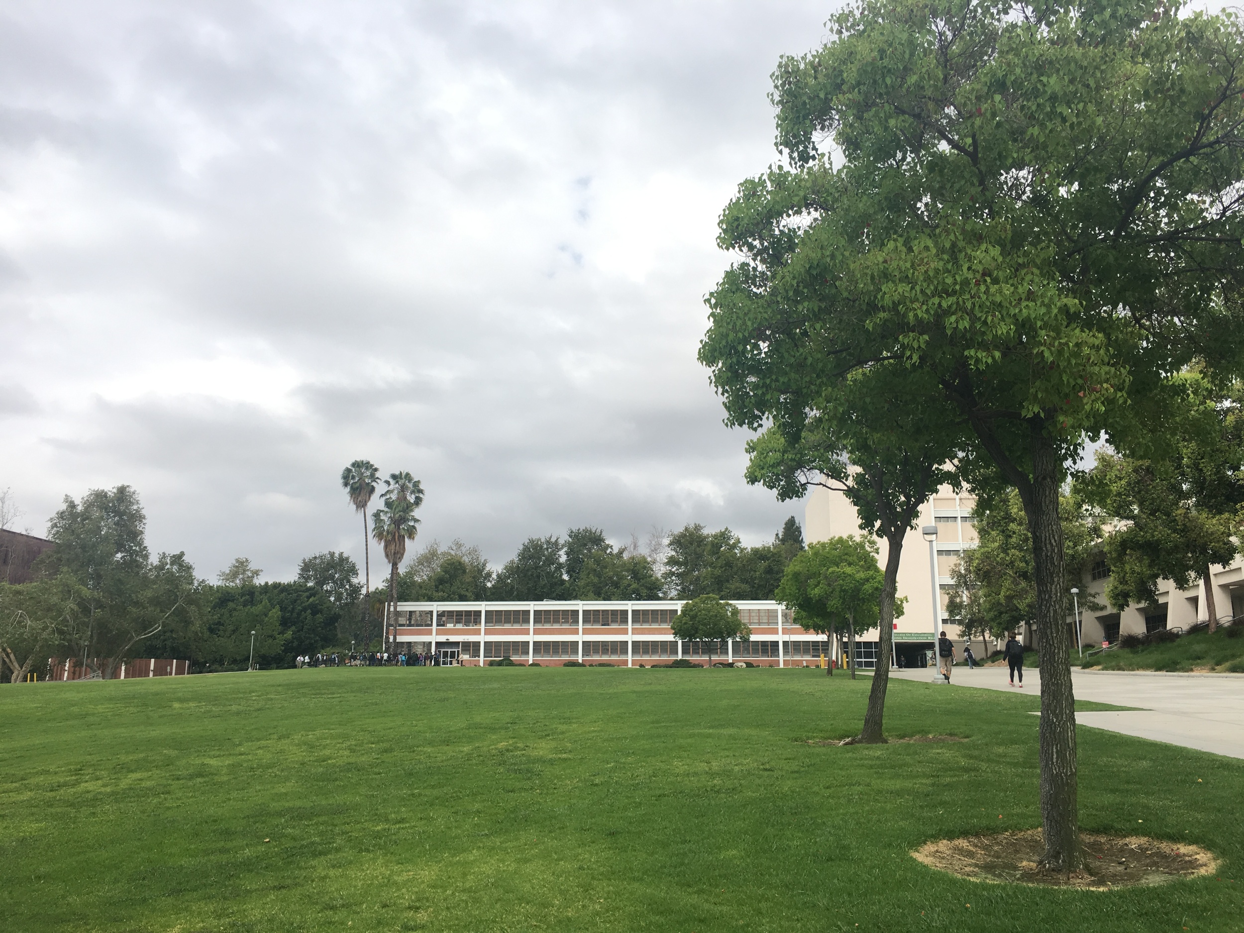 The engineering building