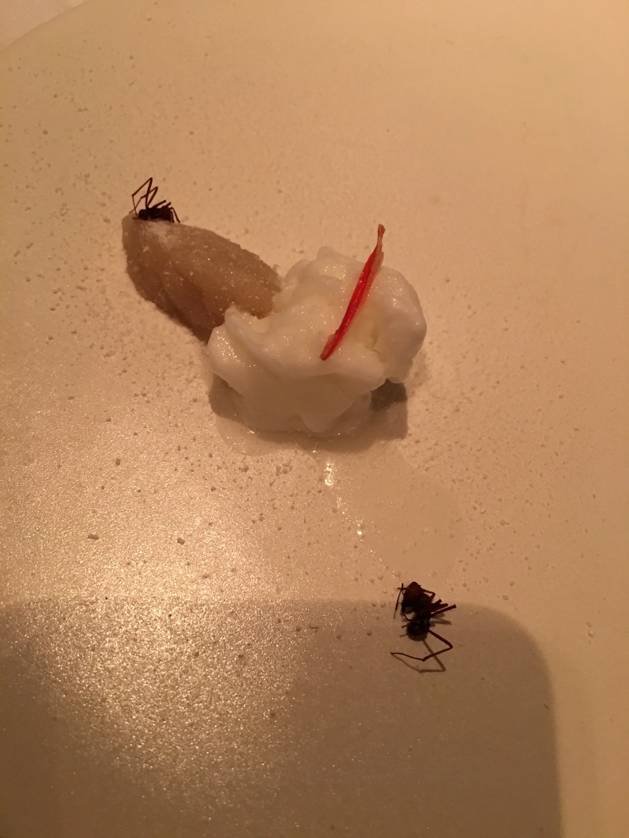 Our dessert featuring ants at DOM