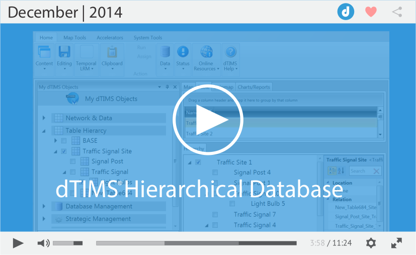  dTIMS Hierarchical Database 