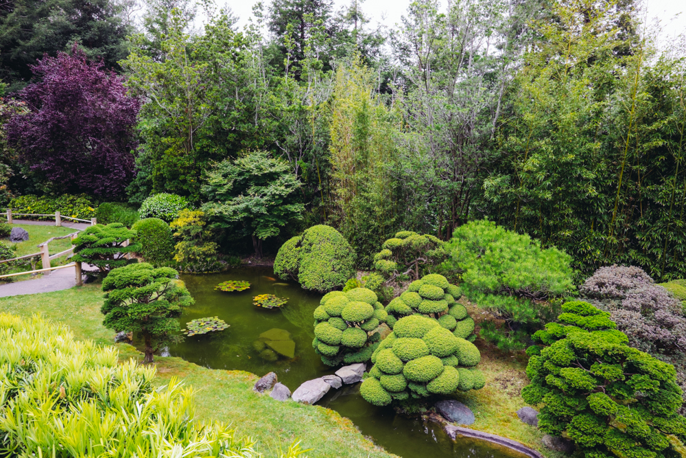 Japanese Tea Garden