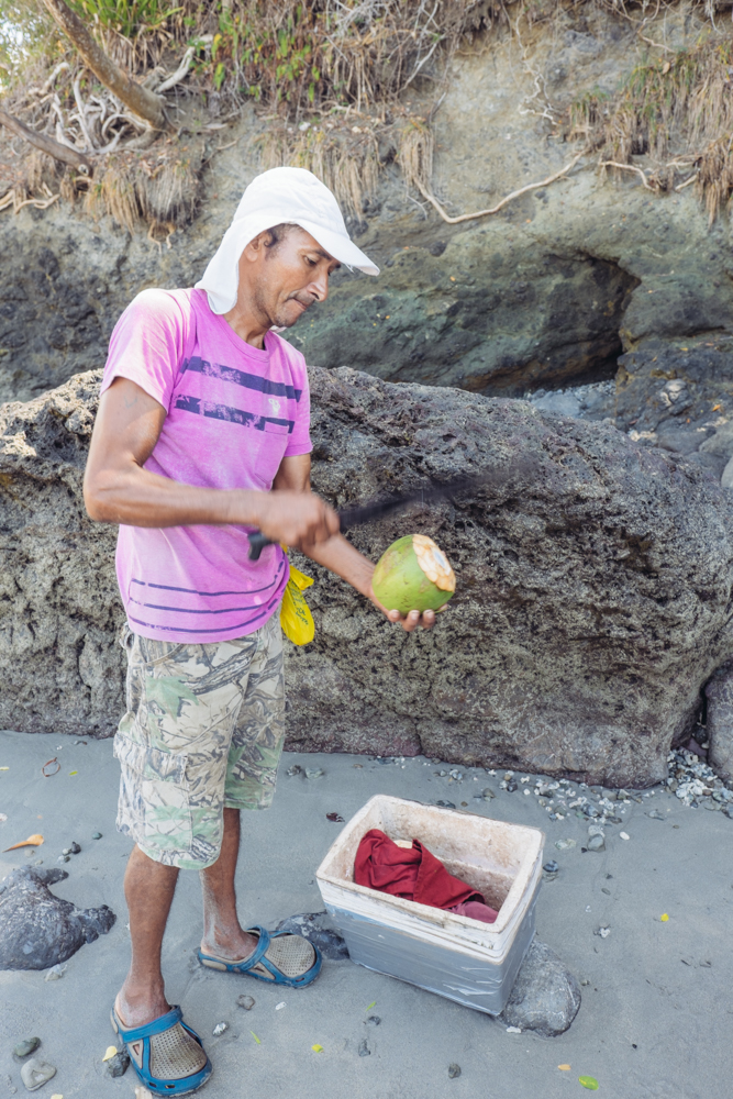 Fresh coconuts on the beach