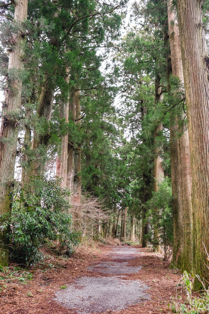 Hakone Stone Paved Road