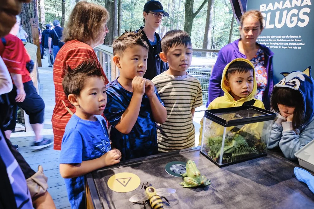 capilano suspension bridge park vancouver canada banana slug