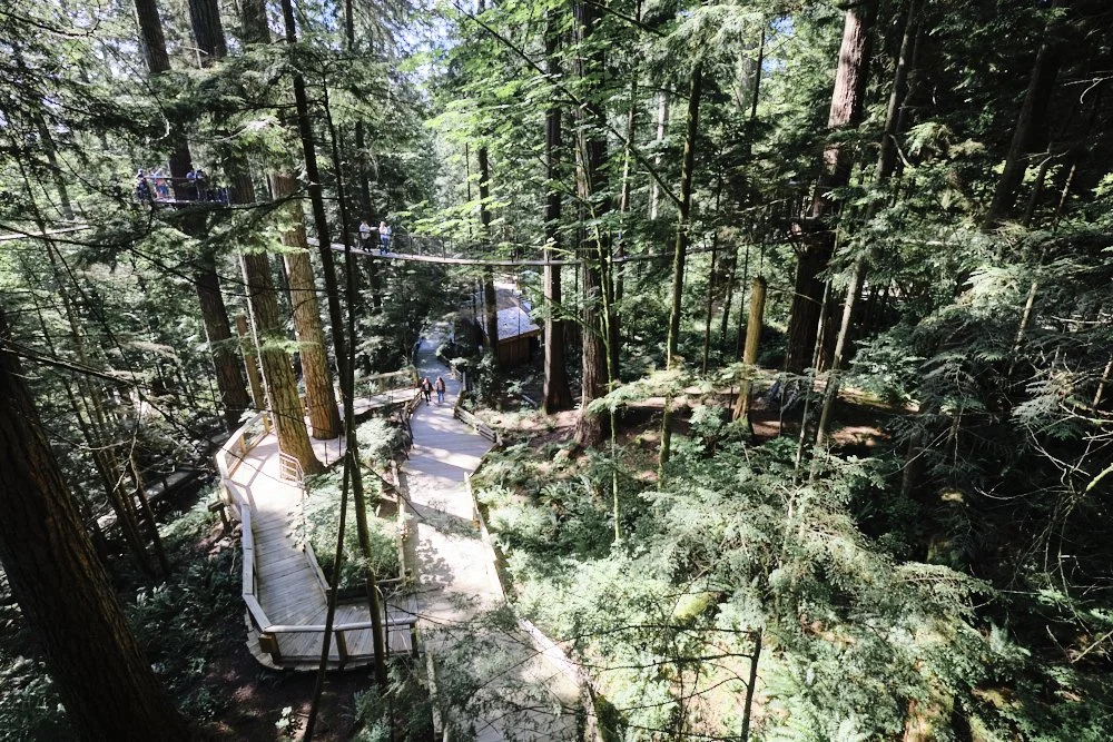 treetops adventure capilano suspension bridge park vancouver canada