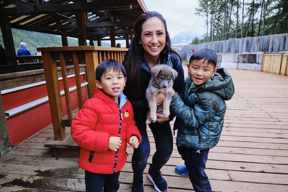 skagway alaska alaskan sled dogs