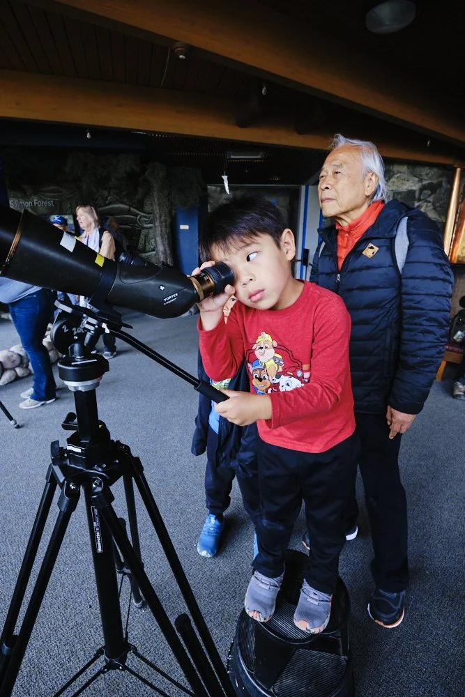 alaska disney cruise juneau mendenhall glacier