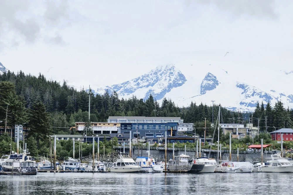 alaska disney cruise juneau auke bay whale watching excursion