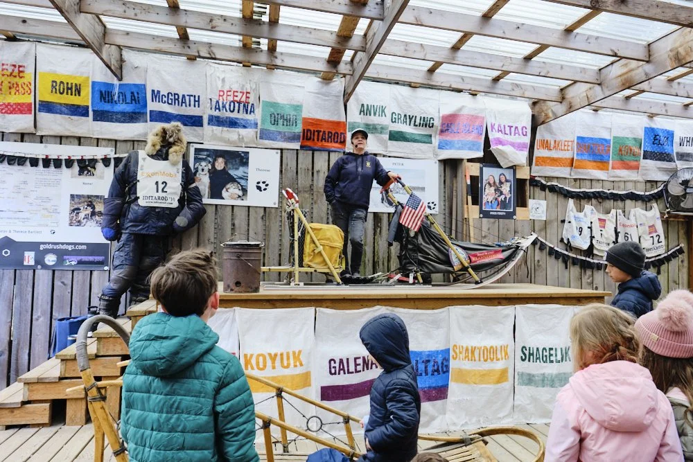 skagway alaska alaskan sled dogs
