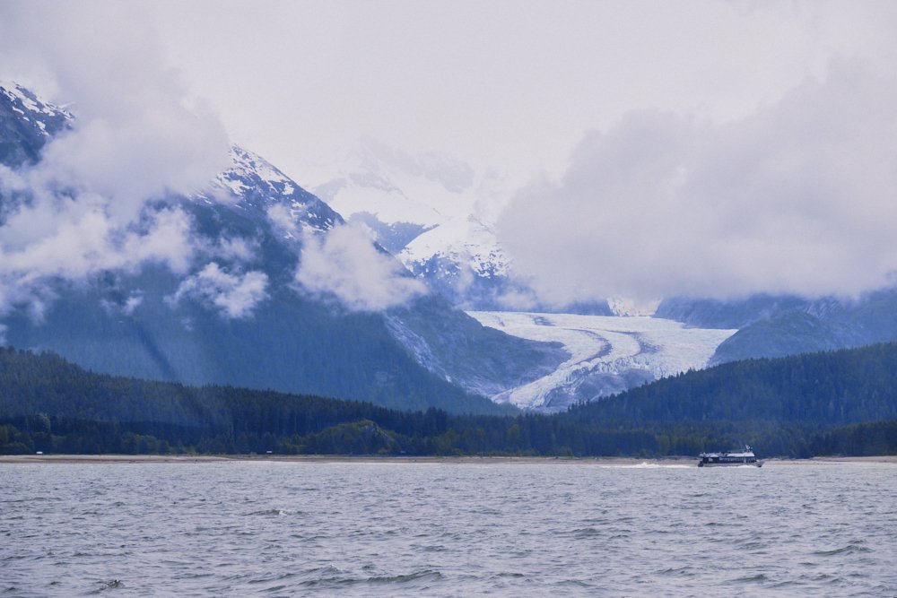 alaska disney cruise juneau auke bay whale watching excursion glacier