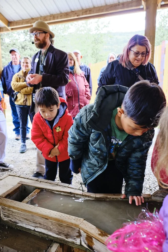 skagway alaska gold panning
