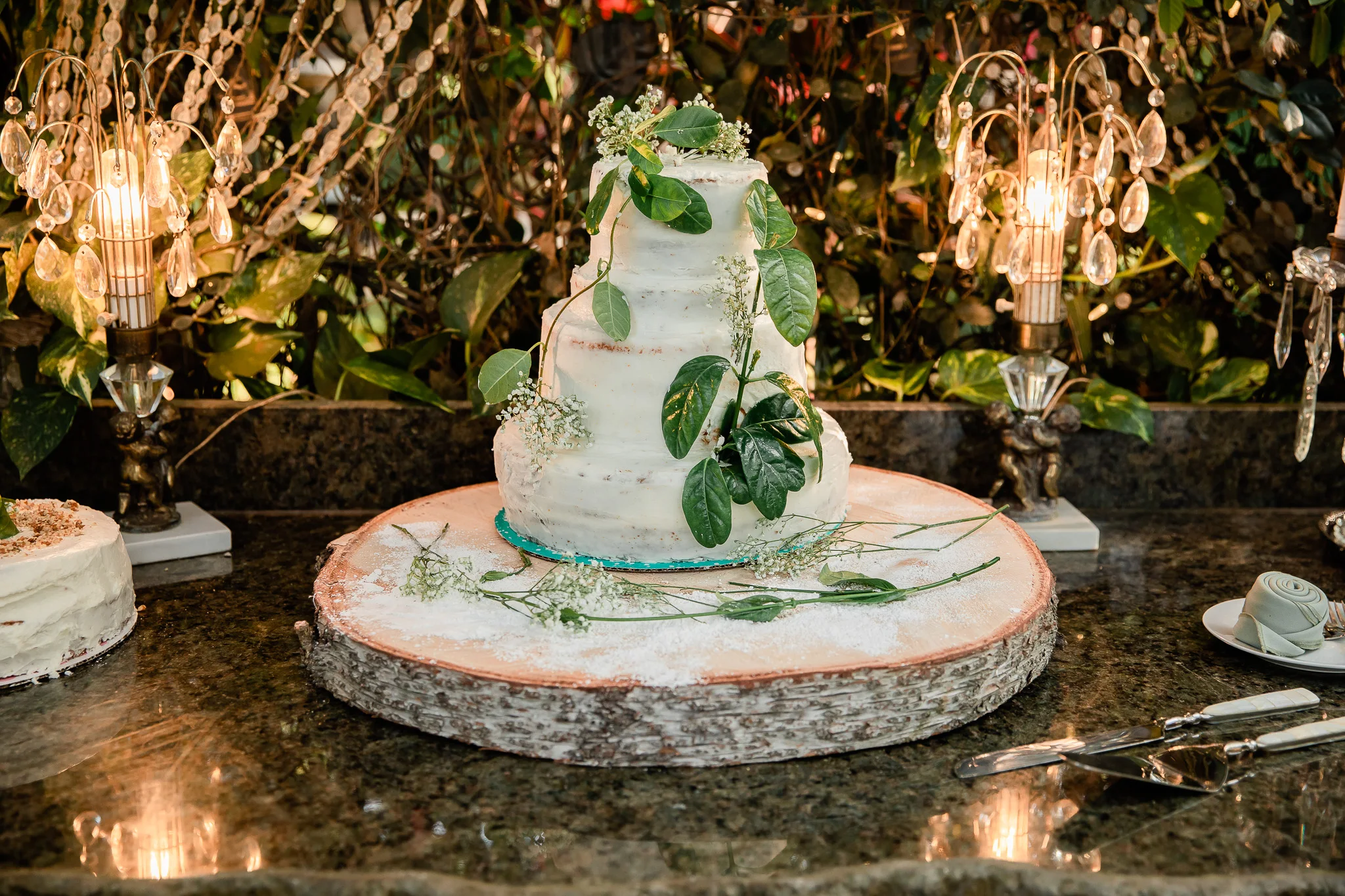 TAMPA_WEDDING_GIGIS_COUNTRY_GARDEN_CJMZ_TJP48332.jpg