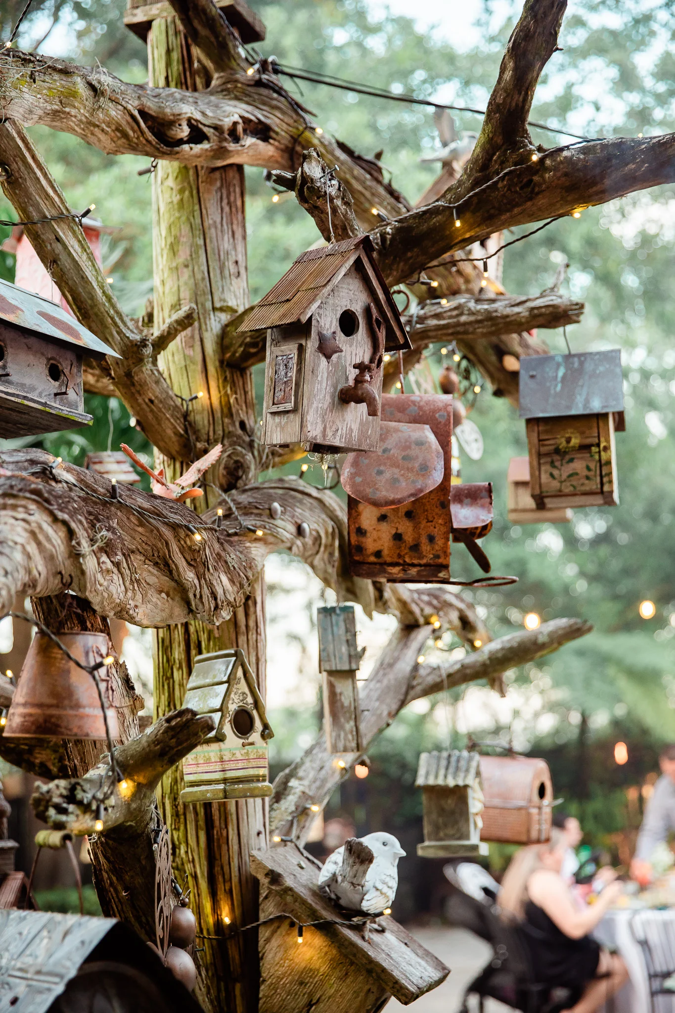 TAMPA_WEDDING_GIGIS_COUNTRY_GARDEN_CJMZ_TJP48416.jpg