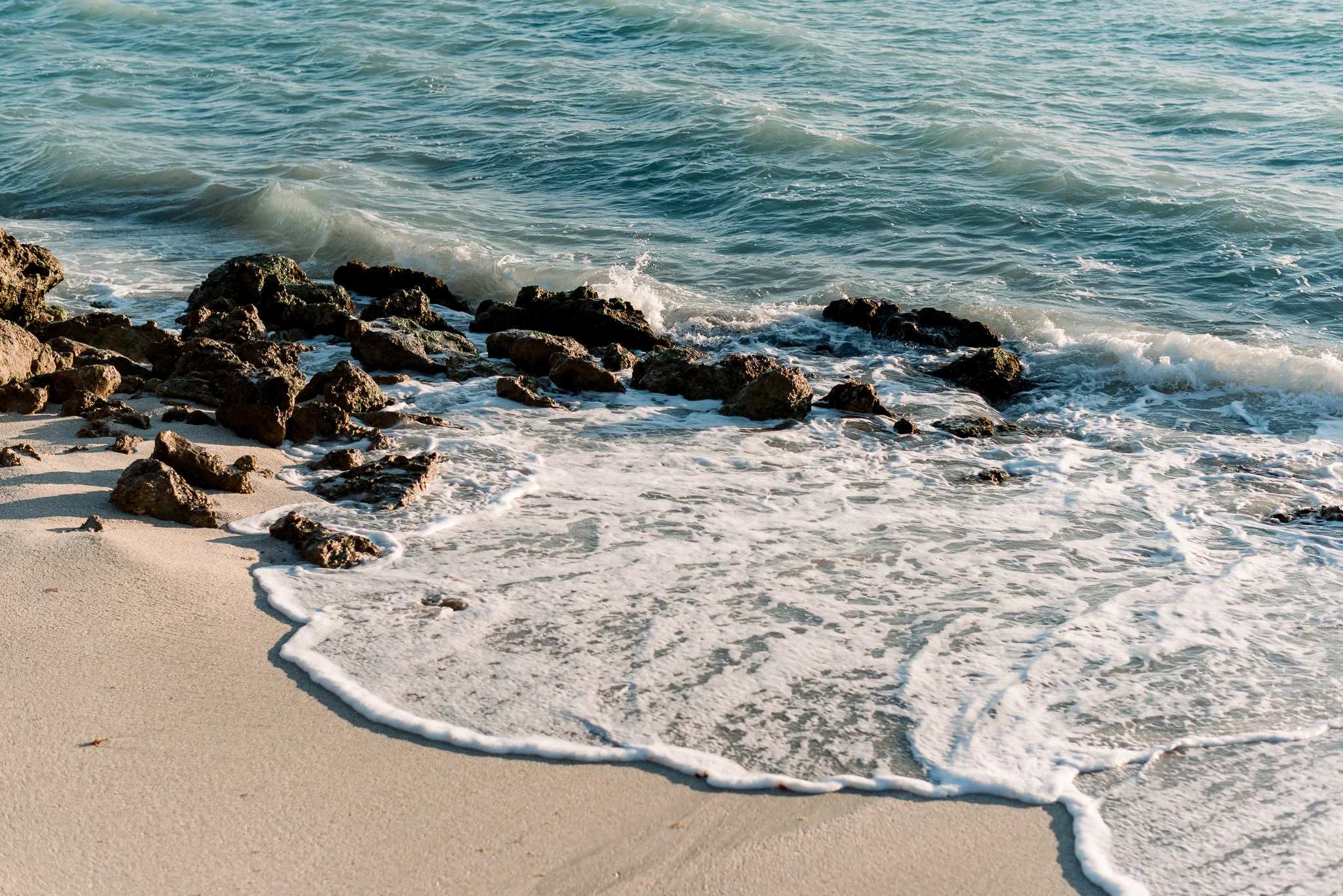 SARASOTA_WEDDING_PHOTOGRAPHY_SMMZ_5932.jpg
