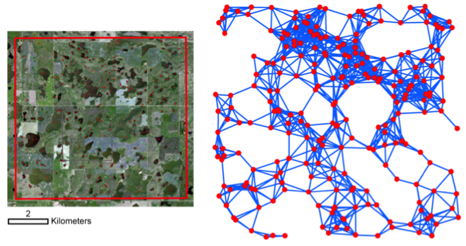 A wetland landscape in central North Dakota (left) and the associated network (right) created with a graph-theoretical approach. Circles represent nodes (i.e., centroids of wetlands) and lines represent links between nodes that have a distance less than a threshold value or disperse distance of 1000 m.