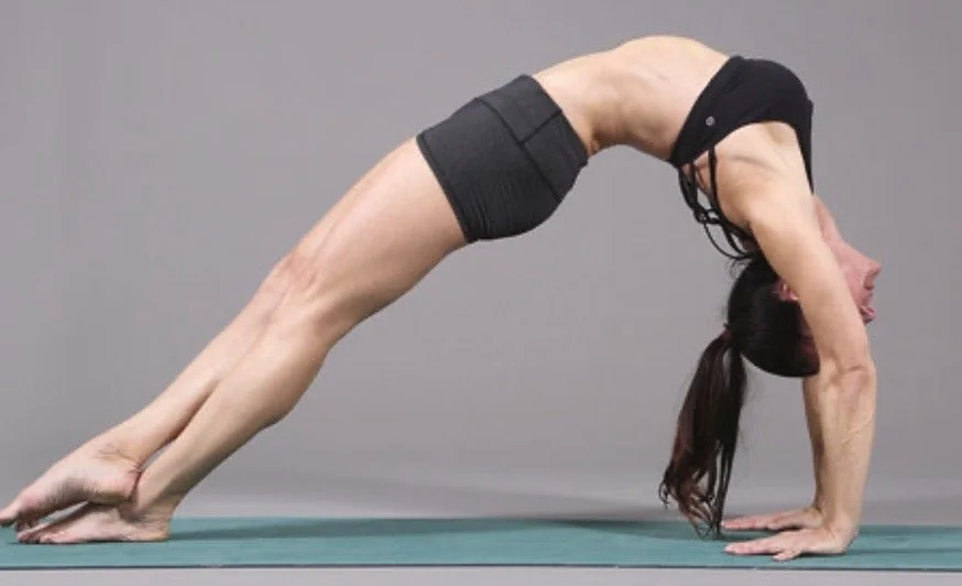 Boston, MA: coming to Soma Yoga:  Master Class &amp; Workshops