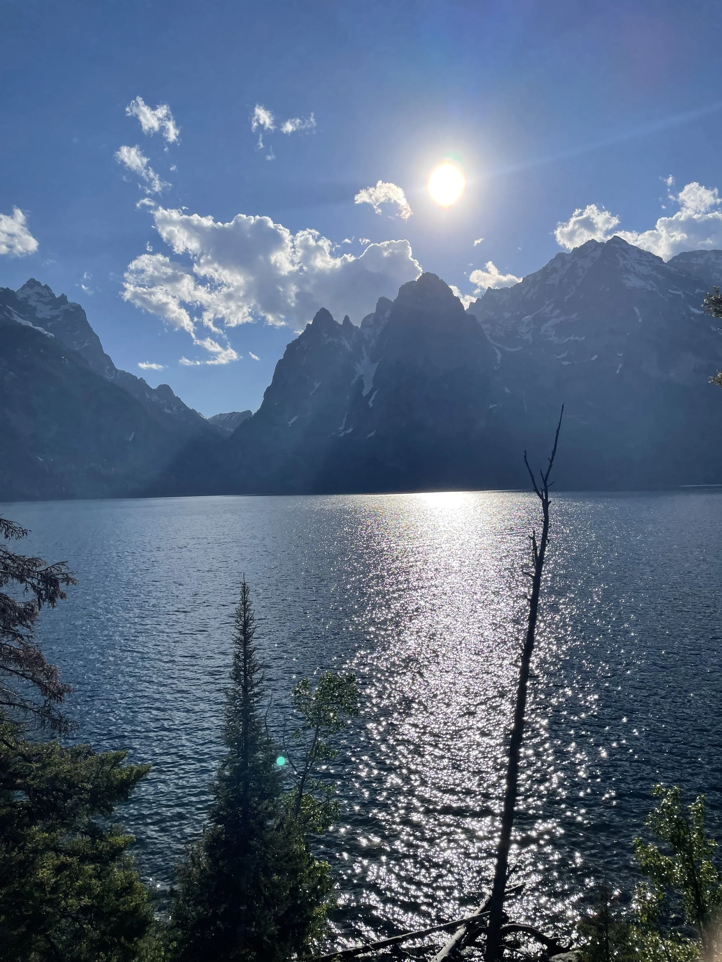Four Day Intensive Jackson Hole Wyoming Teton Yoga Shala
